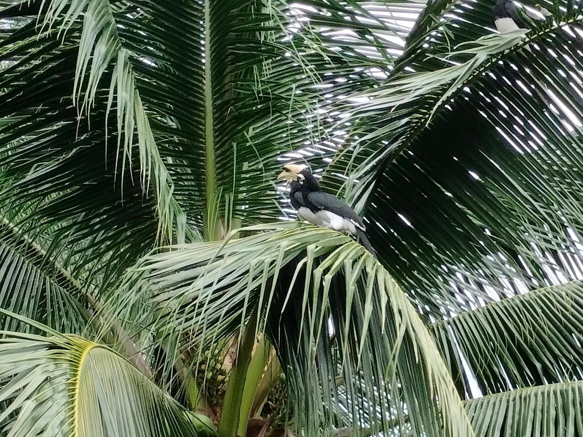 Suntisook Resort Ko Yao Noi Zewnętrze zdjęcie